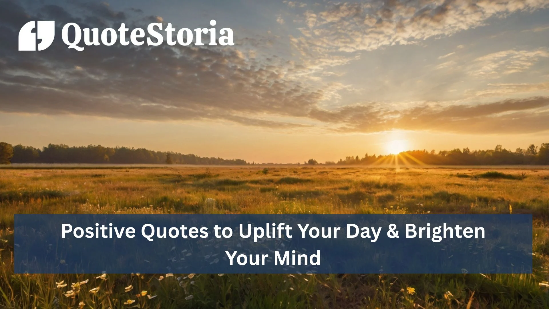 Sunrise over a blooming meadow symbolizing positivity, hope, and a fresh start