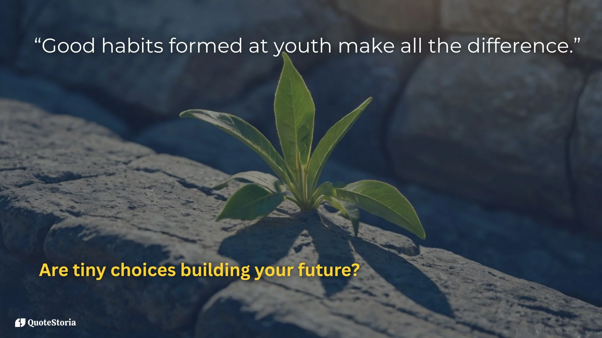 Aristotle quote featured image: "Good habits formed at youth make all the difference."