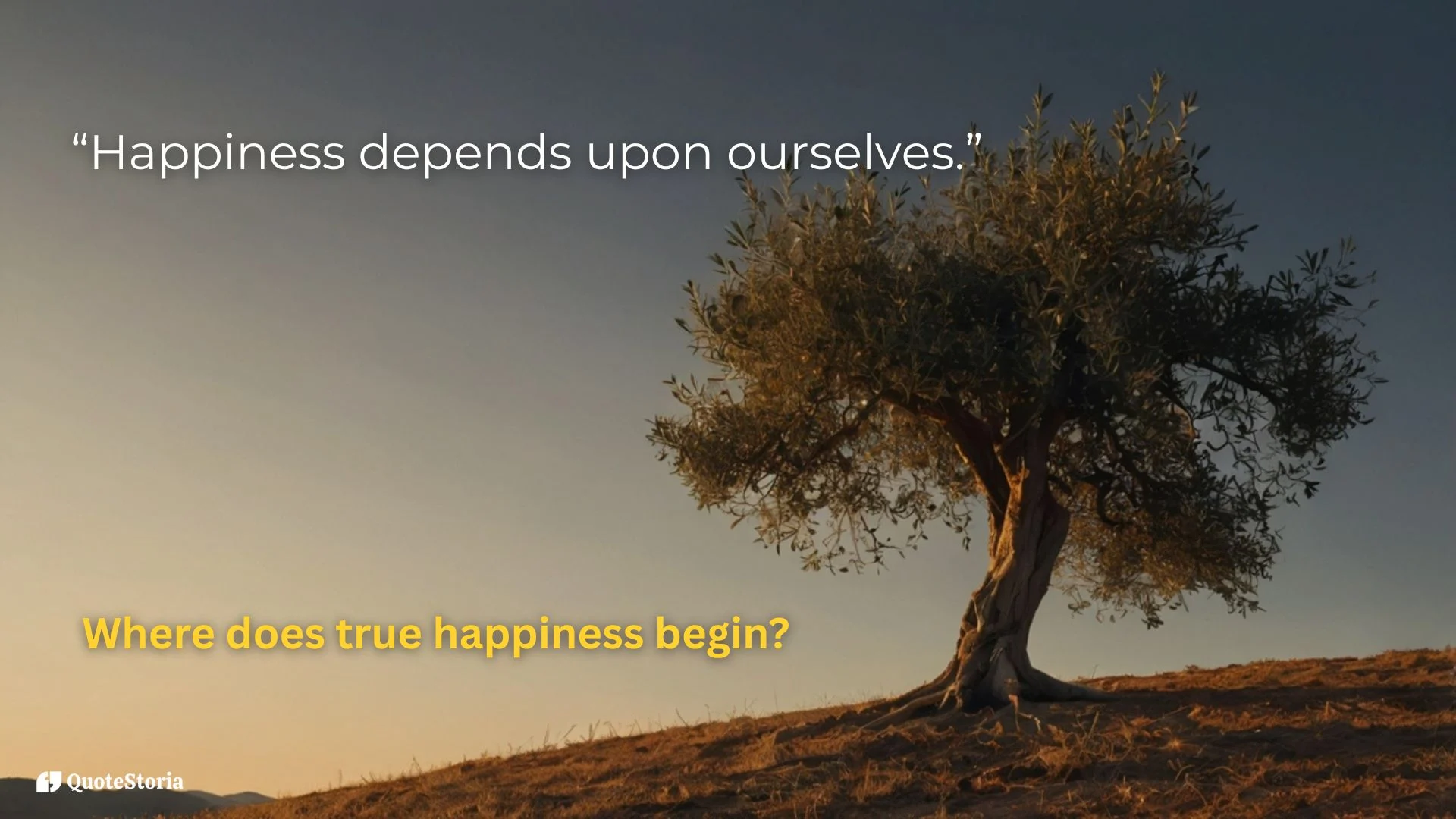 "Aristotle featured image for quote 'Happiness depends upon ourselves' with glowing olive tree at sunrise."