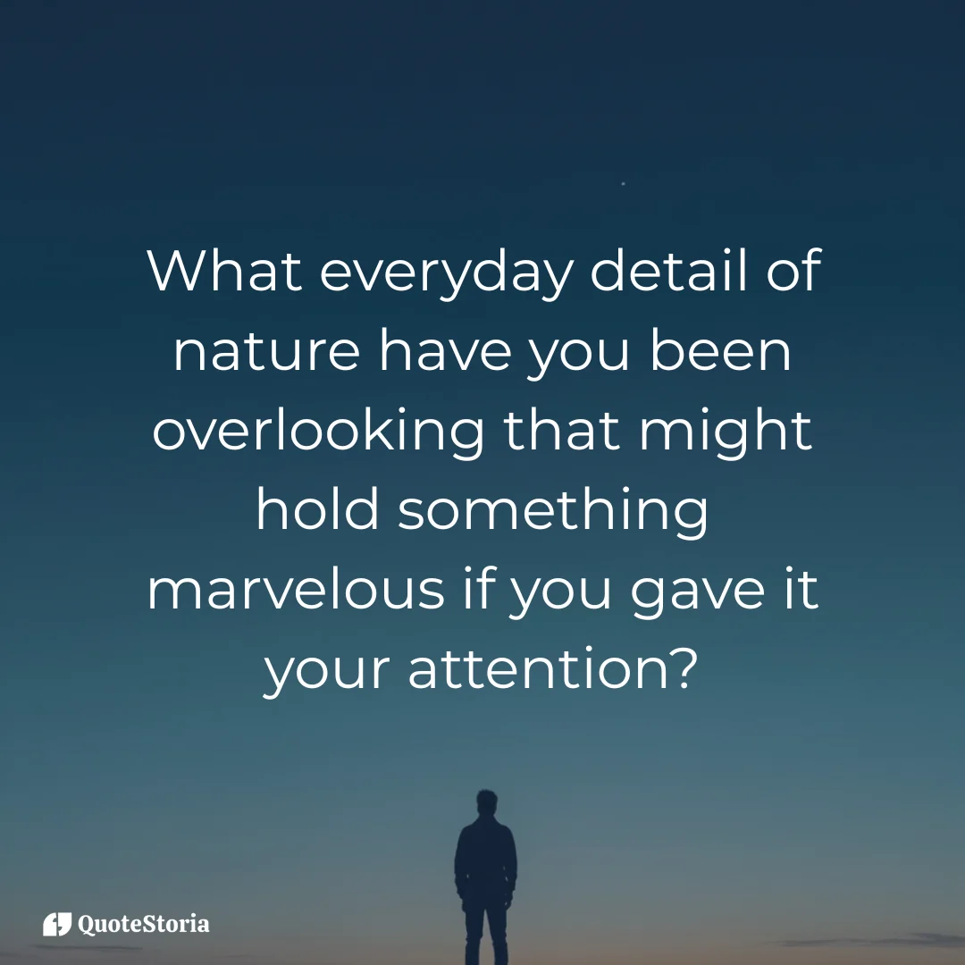 "Person under twilight sky reflecting on Aristotle’s marvelous nature quote."