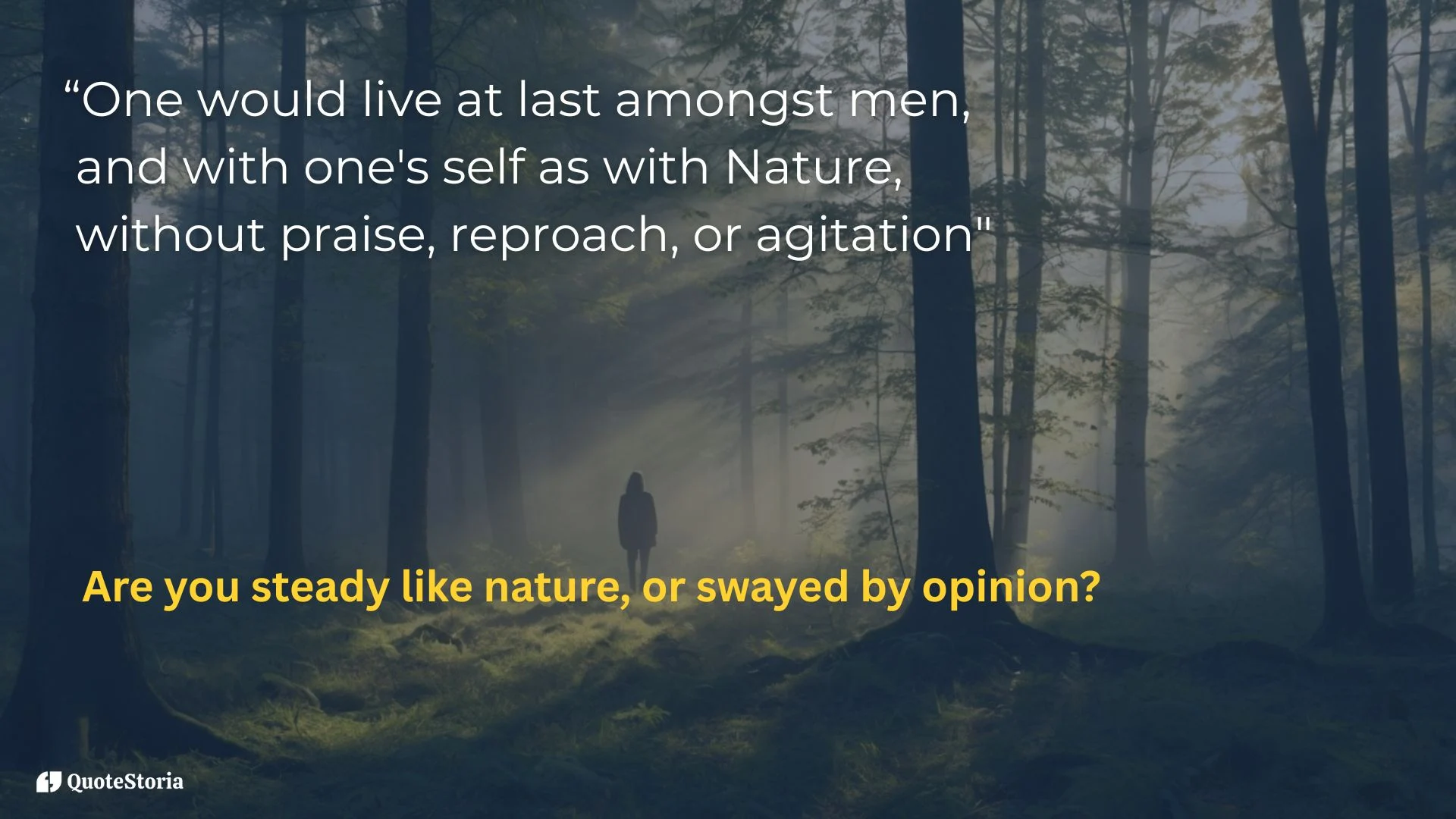 "Featured image of Friedrich Nietzsche quote on living with oneself and Nature, symbolizing calm presence in sunlight through trees."