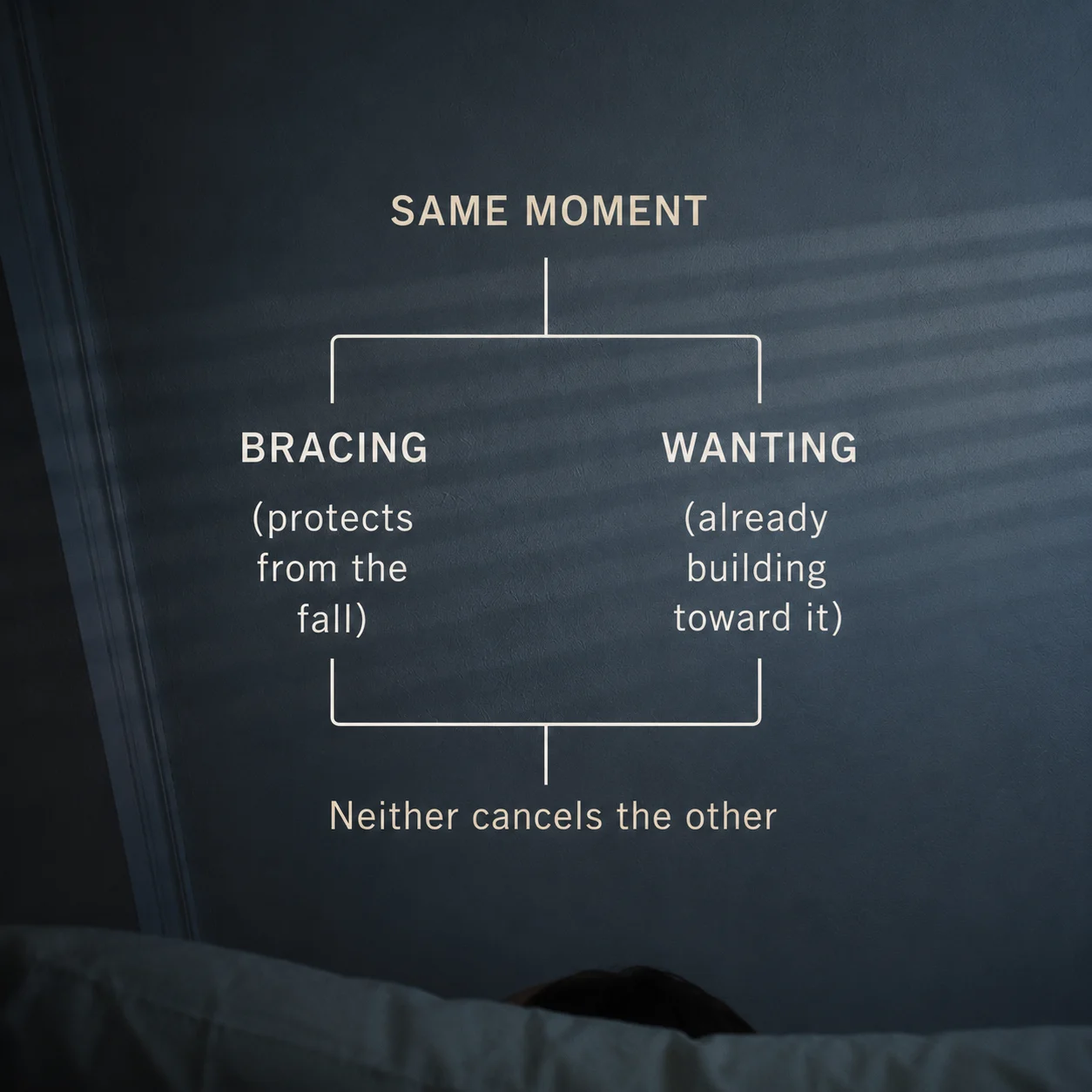 diagram showing bracing and wanting as simultaneous, non-cancelling states