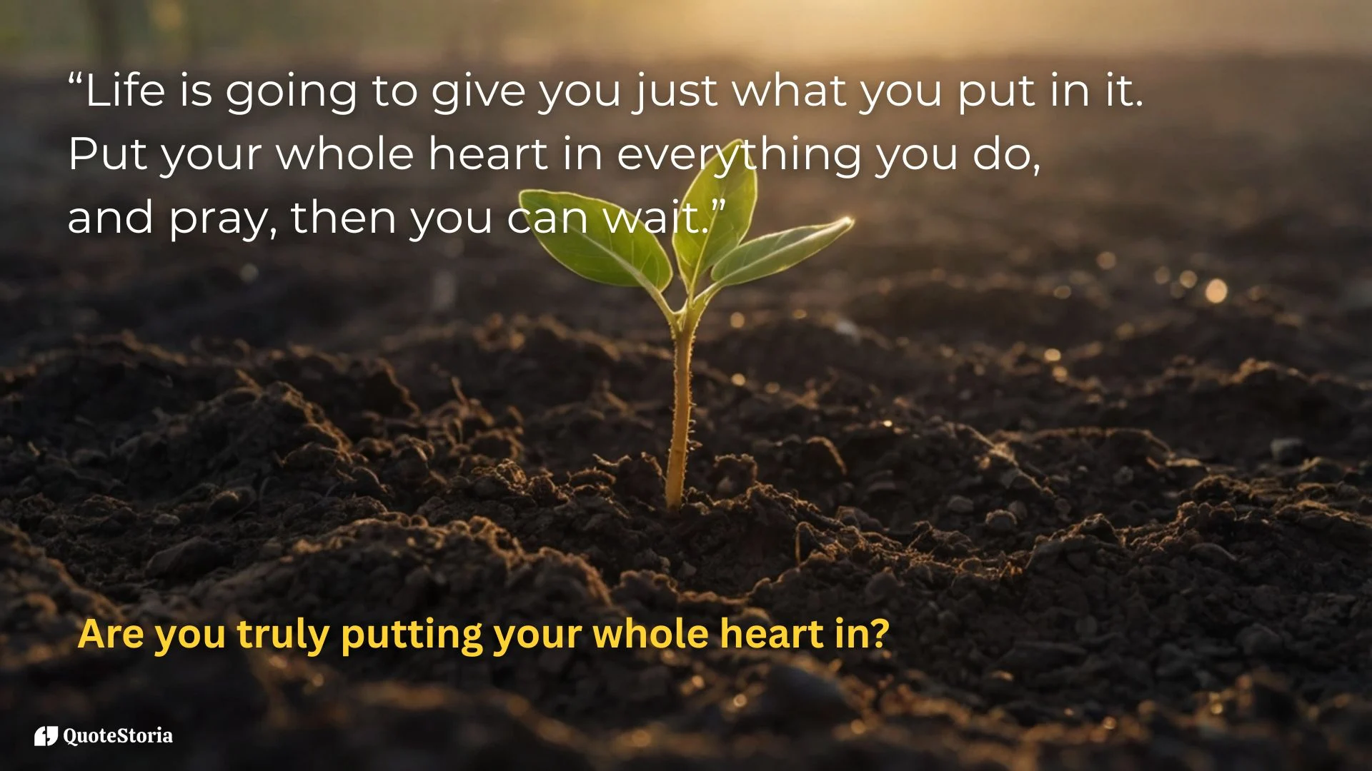 Maya Angelou featured image: Put your whole heart in everything you do and wait.