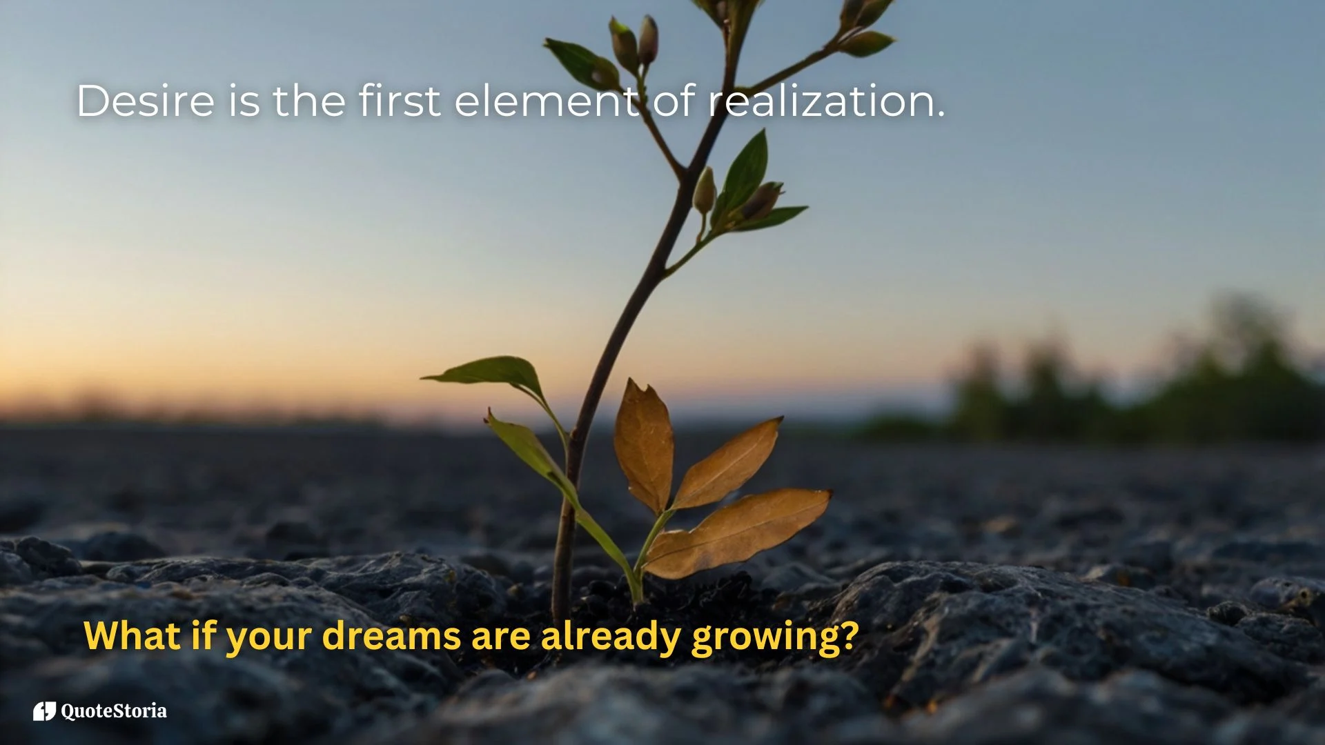 Tony Robbins quote: The seed of desire sparks realization.