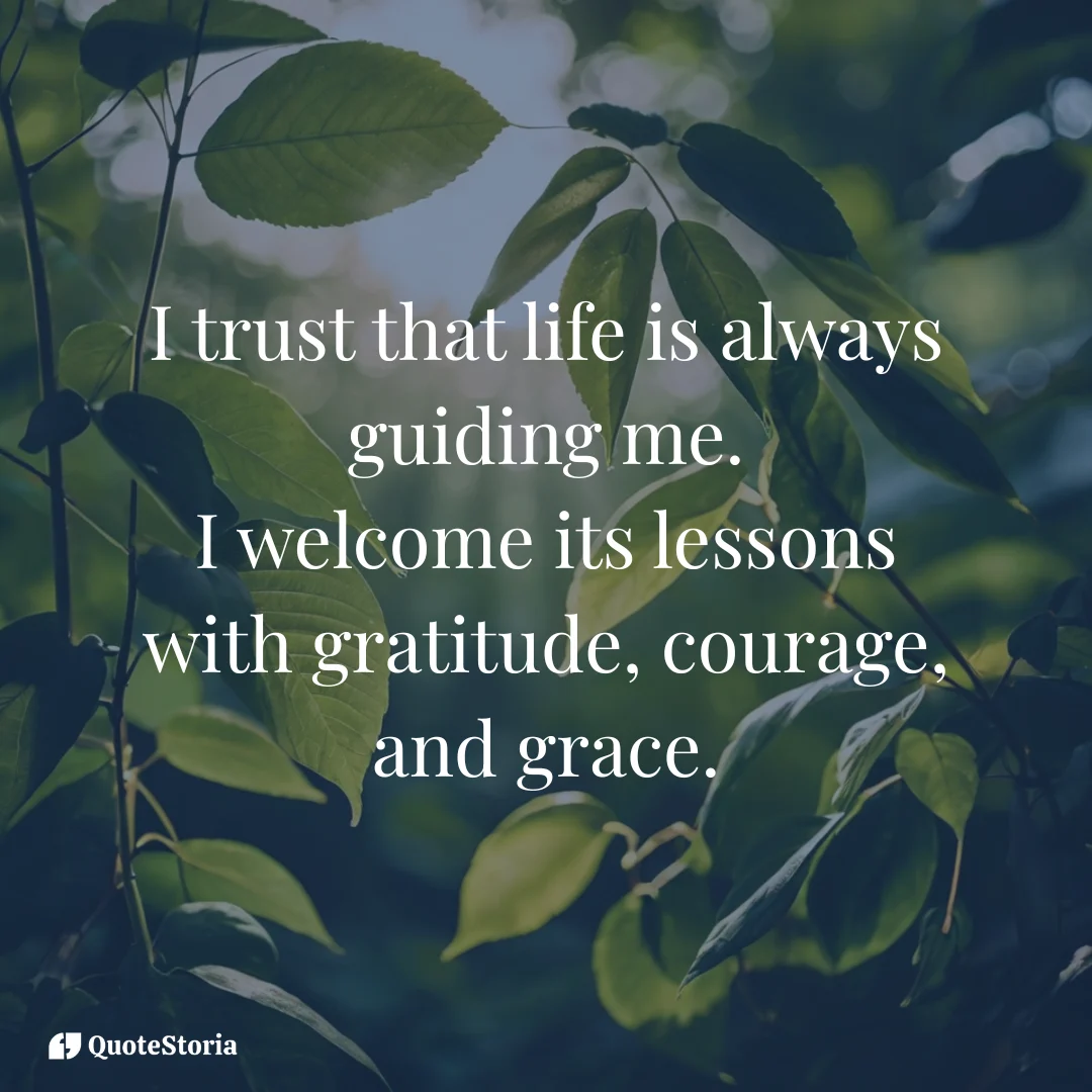 "Sunlight through leaves symbolizing peace, trust, and gratitude."