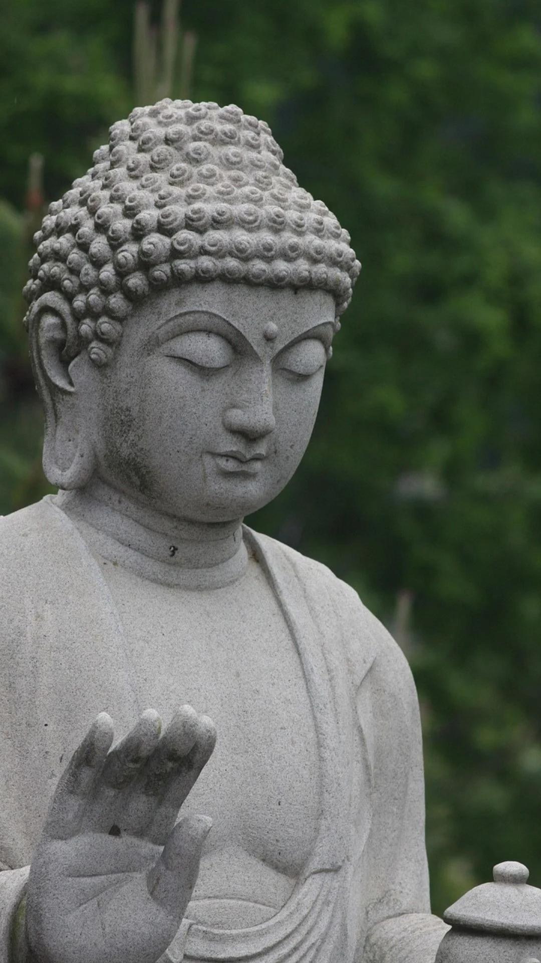 Buddha-Profile-Photo