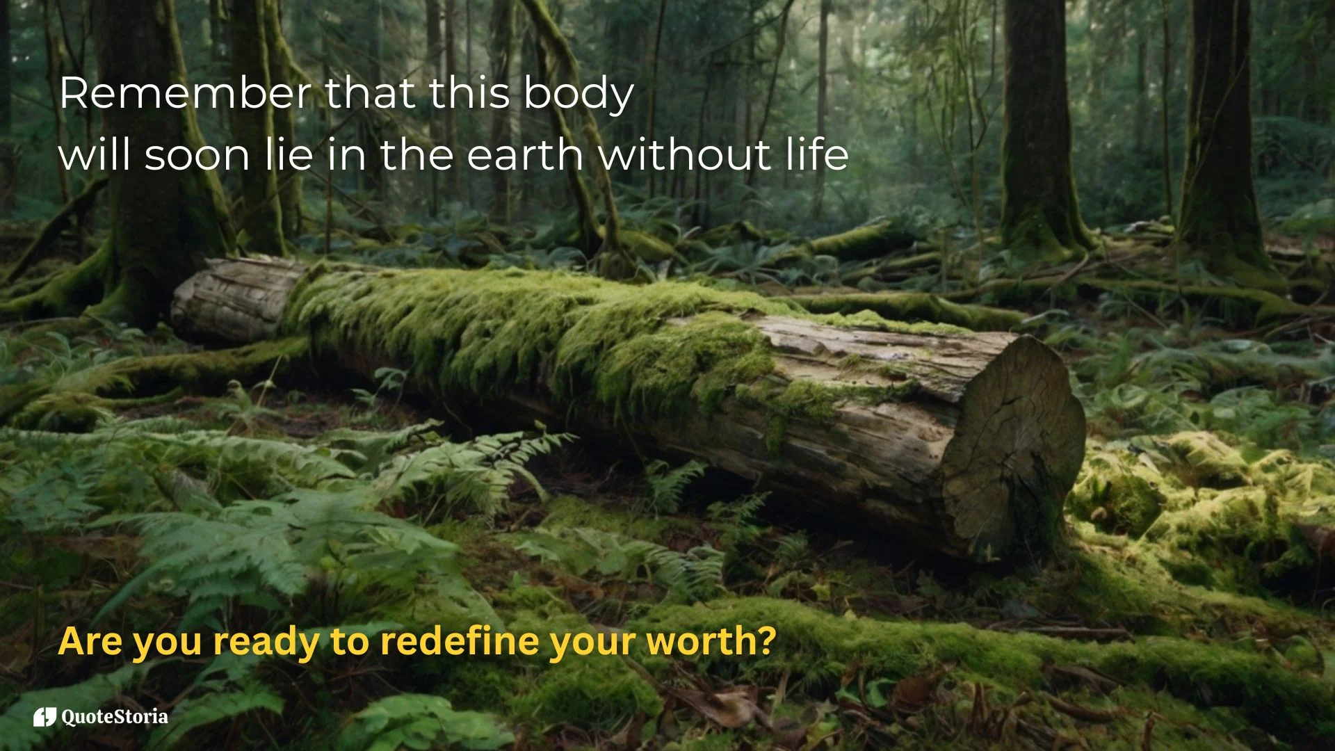 Buddha quote featured image: "This body will soon lie in the earth.