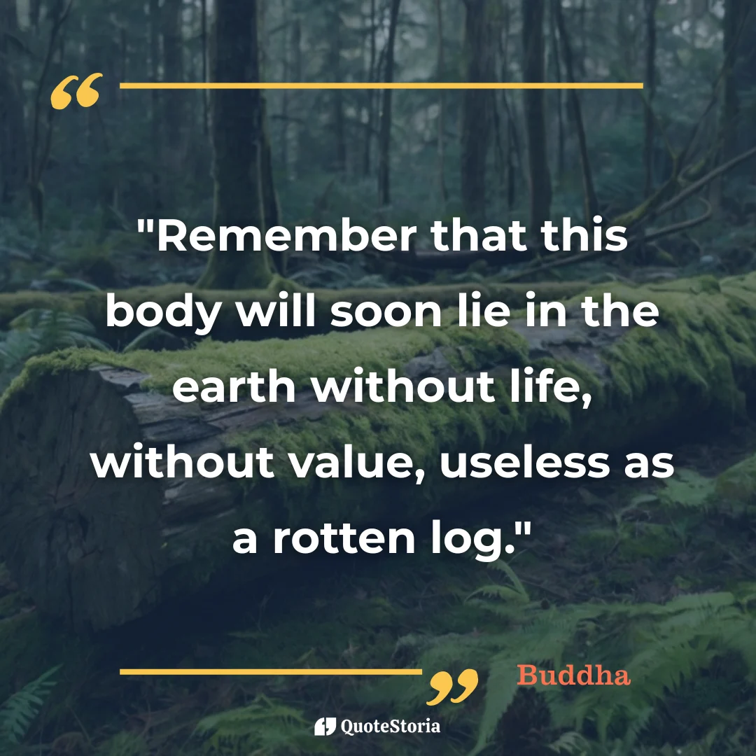Buddha quote: "This body will soon lie in the earth without value."