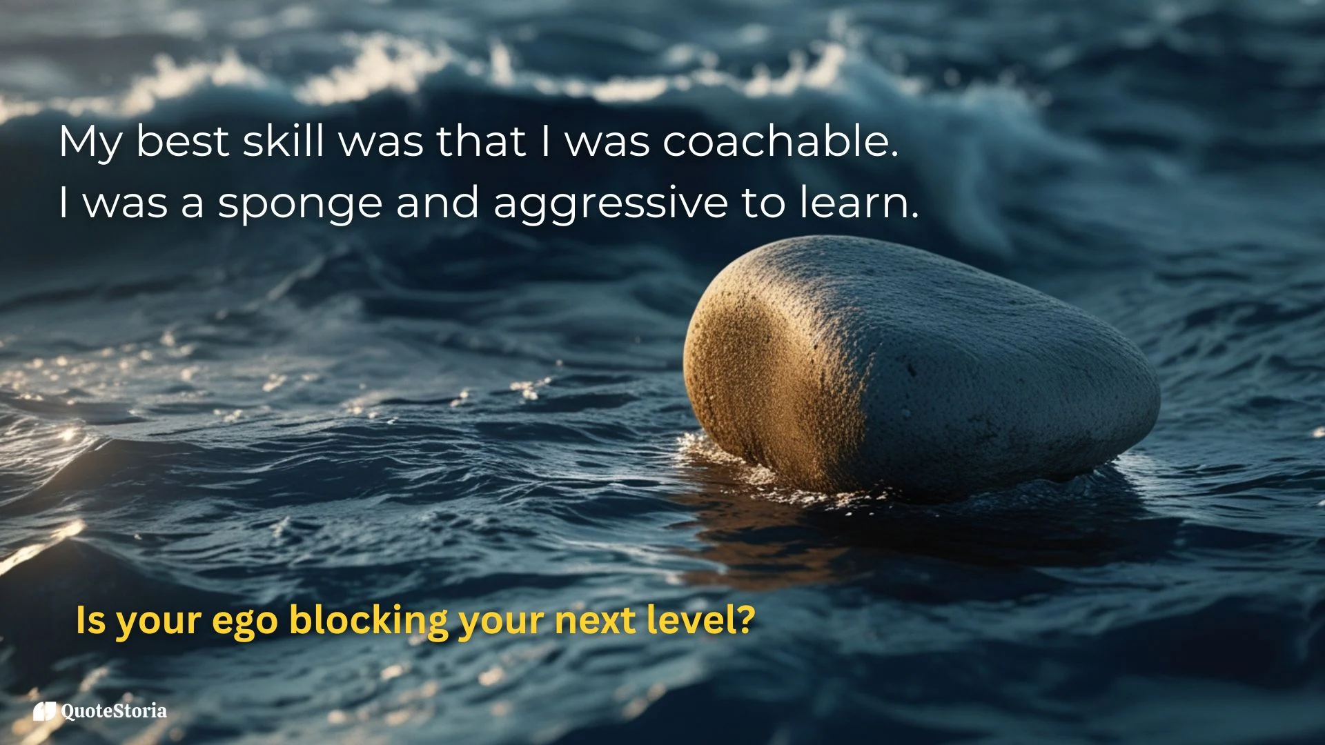 Michael Jordan featured image showing stone absorbing water, symbolizing coachability and aggressive learning.