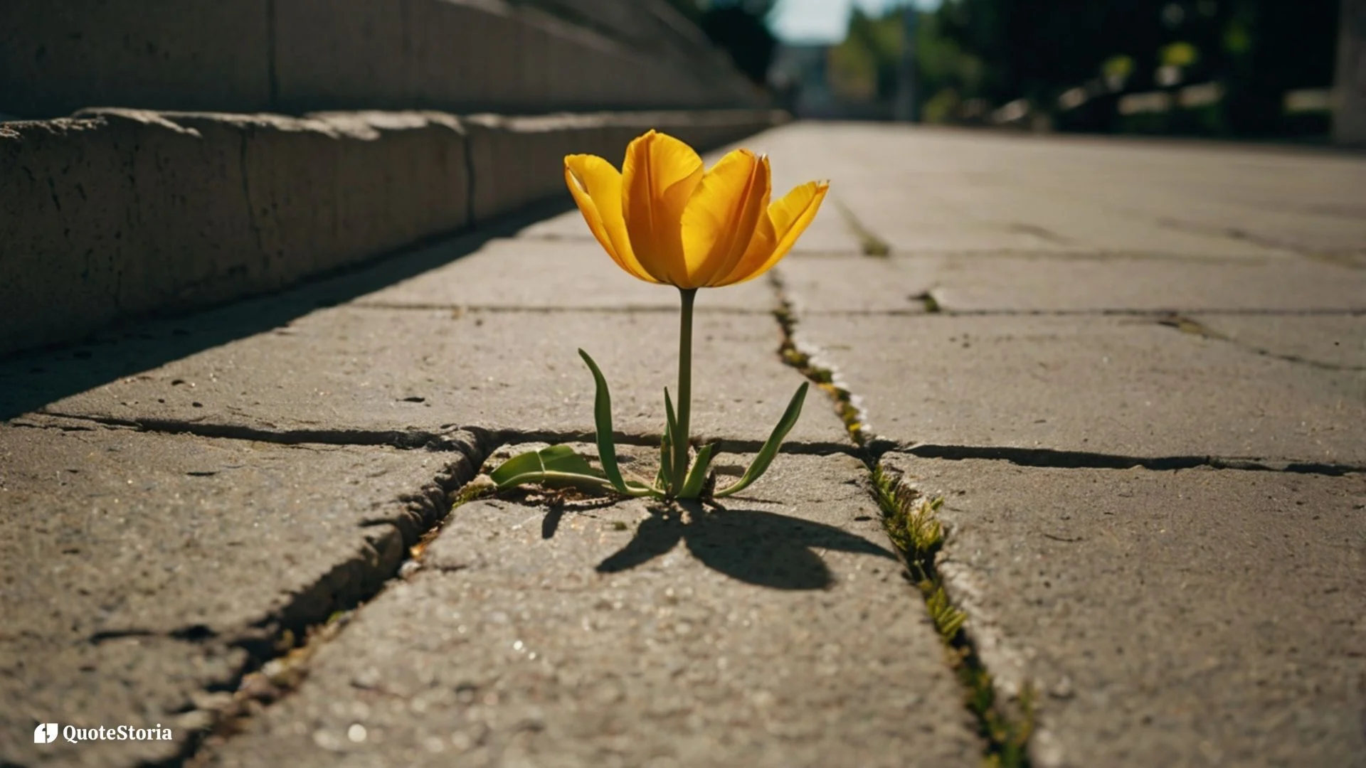 Osho featured image quote: "How to beautify this present moment.