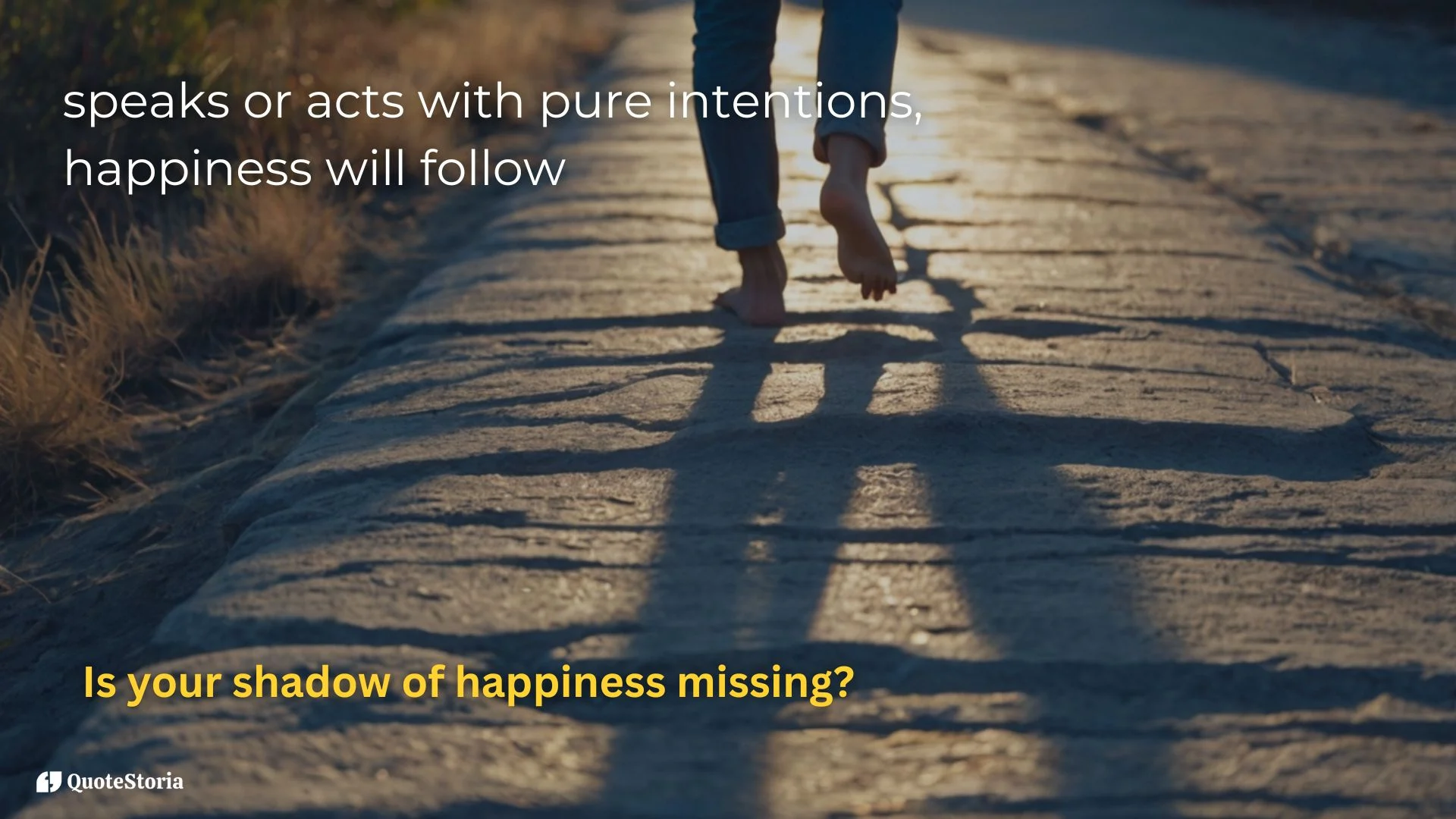 Buddha quote on pure intentions and happiness following like a shadow.