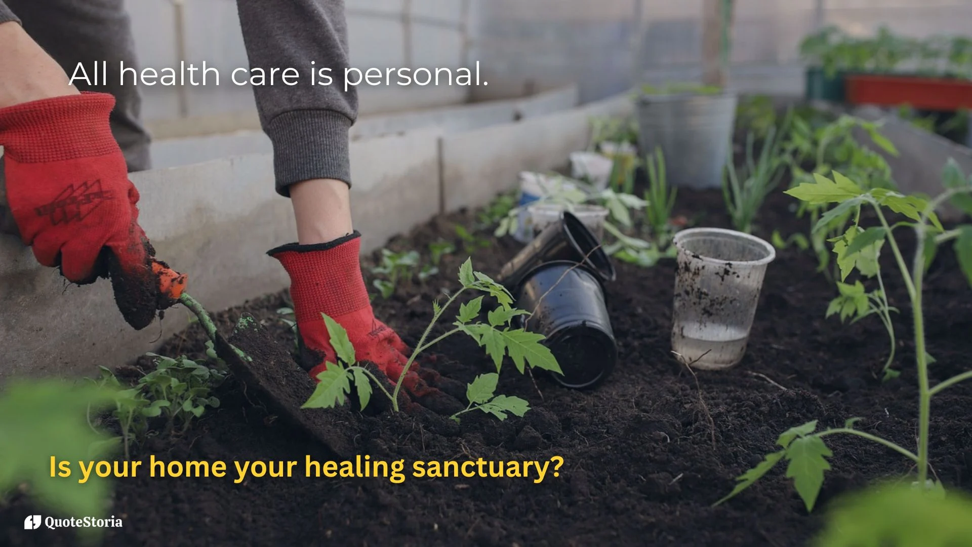 Dr. Mehmet Oz quote: "True health care reform starts in our homes."