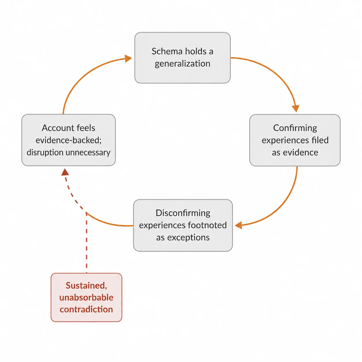 A diagram showing a closed four-node loop: schema holds a generalization, confirming experiences reinforce it, disconfirming ones are set aside as exceptions, and the account comes to feel evidence-backed making disruption feel unnecessary. An external break condition sustained, unabsorbable contradiction is shown as the only force that interrupts the cycle.