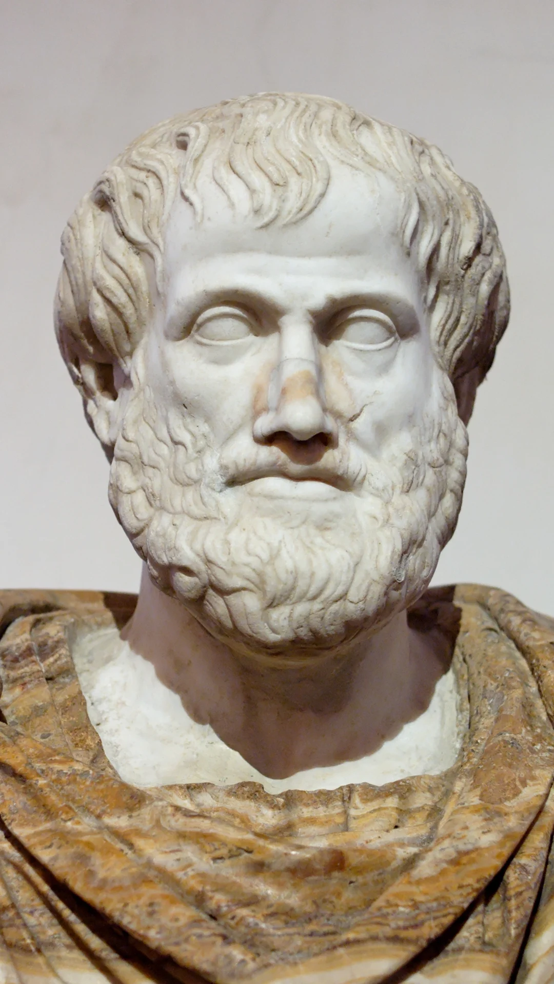 Aristotle-profile-photo
